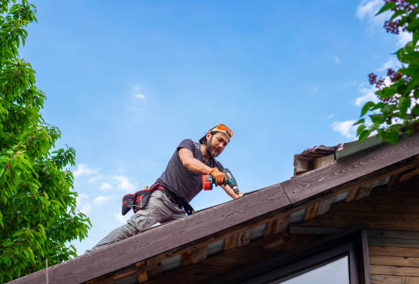 Fast & Reliable Emergency Roof Repairs in Alexandria, MN