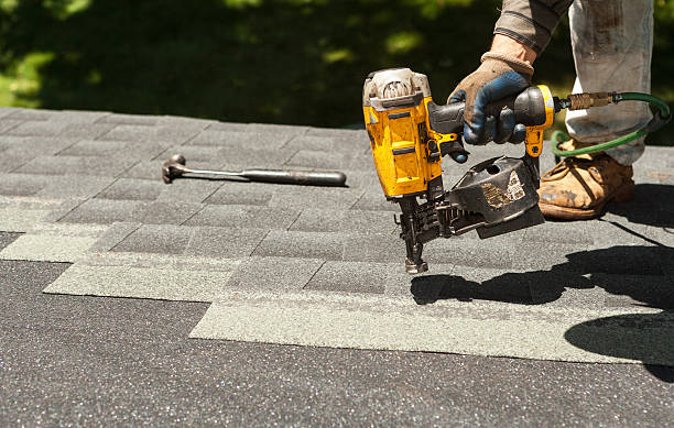 Best Solar Panel Roofing Installation  in Alexandria, MN